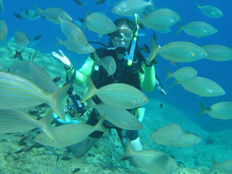 Rhodes: Diving Adventure for Beginners and Experts - Key Points