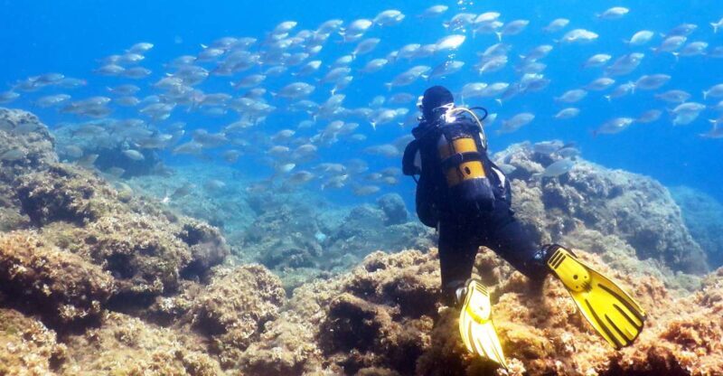 Rhodes: Diving Adventure for Beginners and Experts - An Honest Look at the Rhodes Diving Experience
