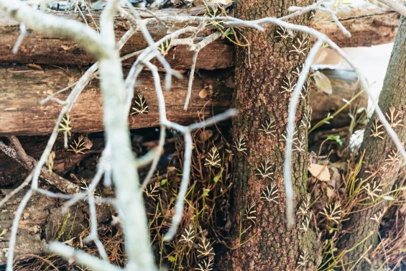 Rhodes: Filerimos Hill and Butterfly Valley Bus Trip - Who Will Love This Tour?