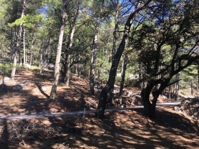 Rhodes: Full-Day 4WD Northern Safari Tour - Practical Tips for Participants