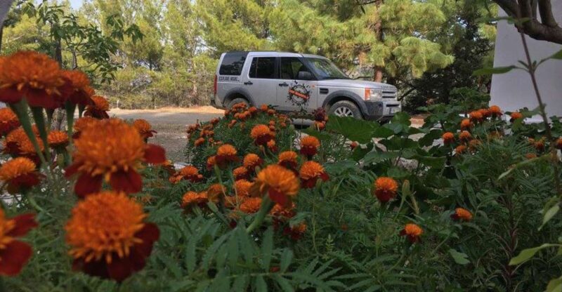 Rhodes: Full-Day 4WD Northern Safari Tour - The Sum Up