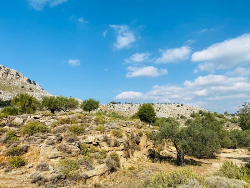 Rhodes: Guided Hike to 7 springs from Archangelos - Key Points