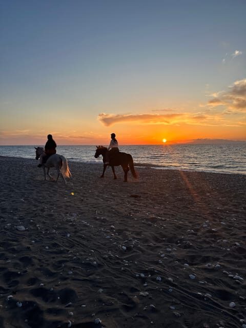 Rhodes: Horseback Riding Trip with Digital Photos - An In-Depth Look at the Rhodes Horseback Riding Experience