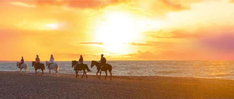 Rhodes Island: Horseback Riding at the Beach During Sunset - A Deep Dive into the Rhodes Beach Sunset Horseback Ride
