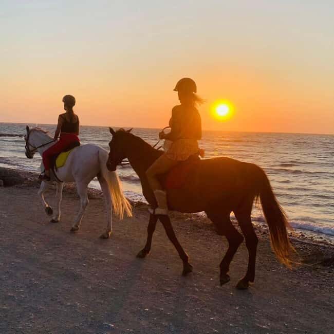 Rhodes Island: Horseback Riding at the Beach During Sunset - FAQs