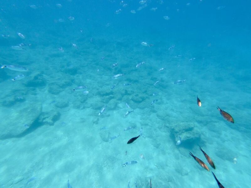 Rhodes: Luxury RIB All-Inclusive Swimming Cruise to 3 Bays - An In-Depth Look at the Rhodes RIB Cruise Experience