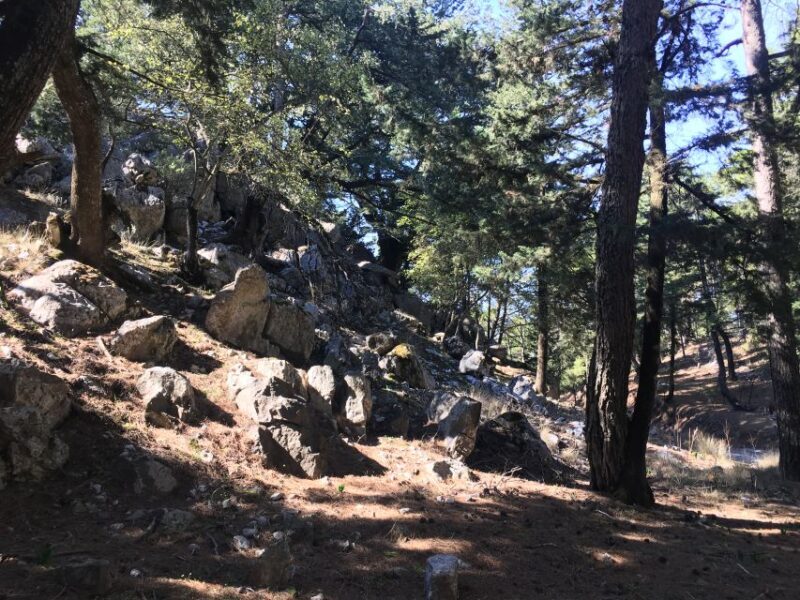 Rhodes North Safari: Hidden Paths & Scenic Flavors - An In-Depth Look at the Rhodes North Safari