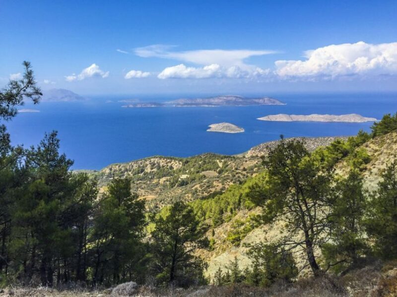 Rhodes North Safari: Hidden Paths & Scenic Flavors - Final Thoughts: Who Should Consider This Tour?