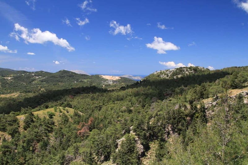 Rhodes: Safari with our driver - North - Pick ups East Coast - The Guides and Overall Experience