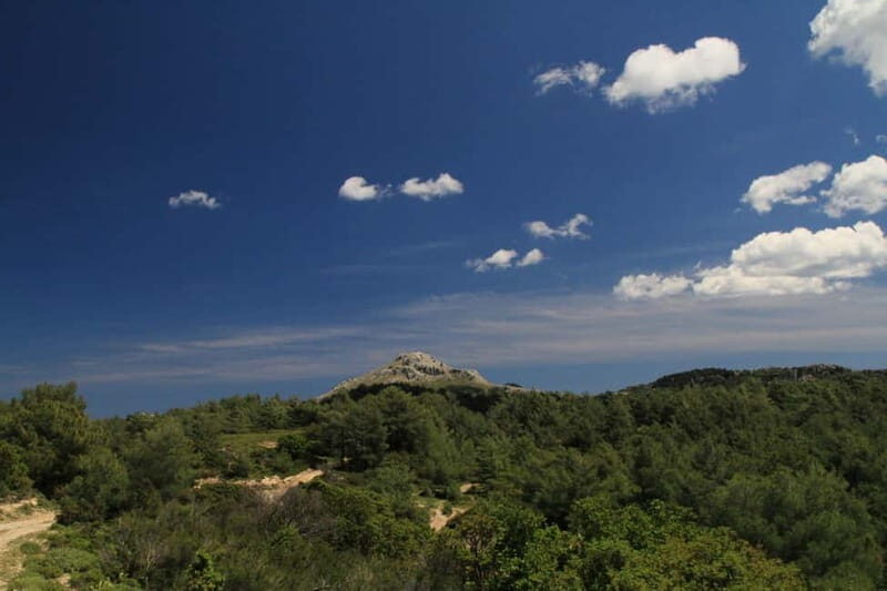 Rhodes: Safari with our driver - North - Pick ups East Coast - FAQ