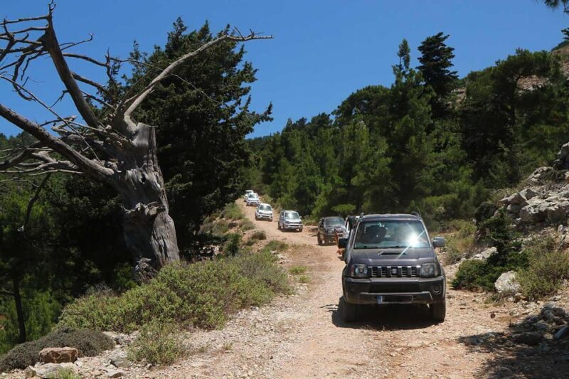 Rhodes: Self-Drive 4x4 Safari Tour with North Pickup - Key Points