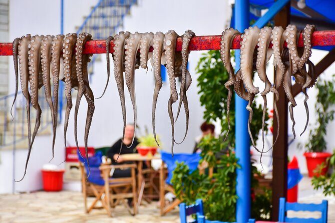 Rhodes Self Drive 4x4 Wilderness Expedition & Traditional Lunch - Practical Details and What to Expect