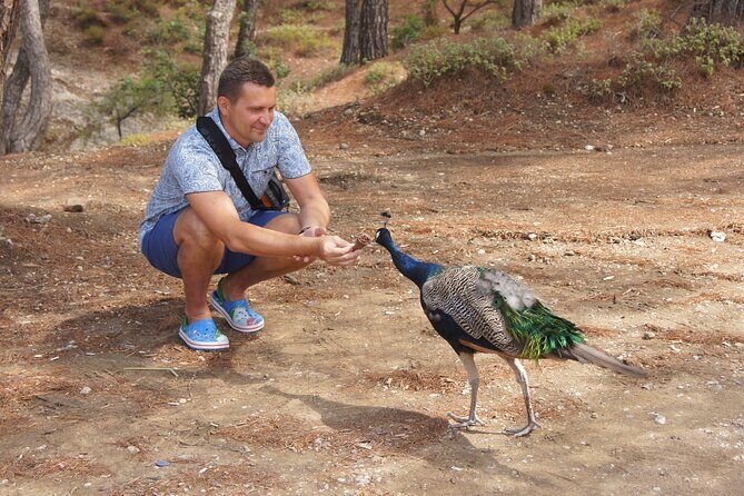 Rhodes Self Drive 4x4 Wilderness Expedition & Traditional Lunch - The Sum Up: Is It Worth It?