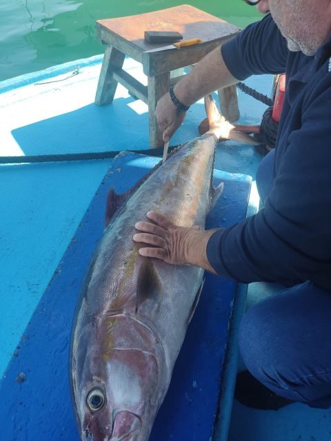 Rhodes Town: Fishing Boat Trip with Fish Meal and Swim Stops - Final Thoughts