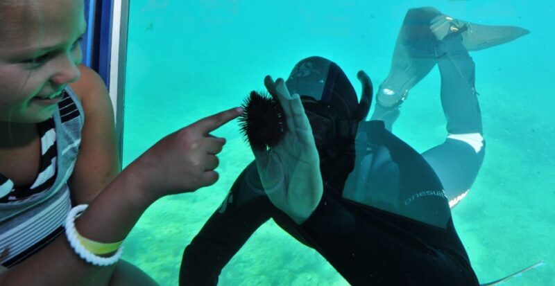 Rhodes Town: Yellow Submarine Cruise with Underwater Views - An In-Depth Look at the Rhodes Yellow Submarine Experience