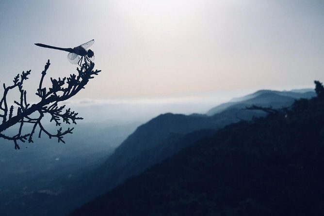 Rhodes Uncharted South Safari: Mountains, Monasteries, & Flavors - The Sum Up