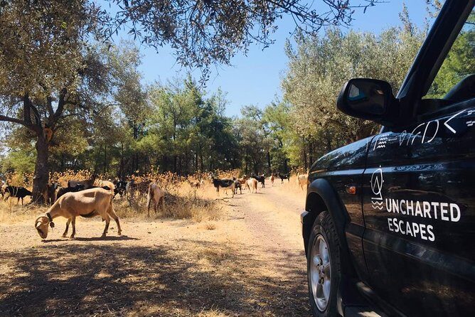 Rhodes Uncharted South Safari: Mountains, Monasteries, & Flavors - FAQ