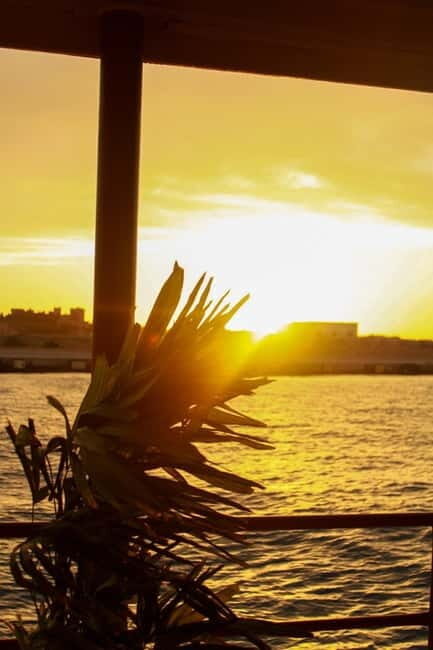 Rhodes: Weekend Sunset Live DJ Boat Party with Free Transfer - Who Should Consider This Tour?