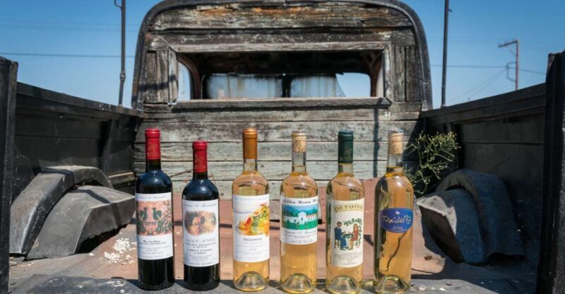 Rhodes: Winery Tour and Tasting Experience - The Value and Atmosphere