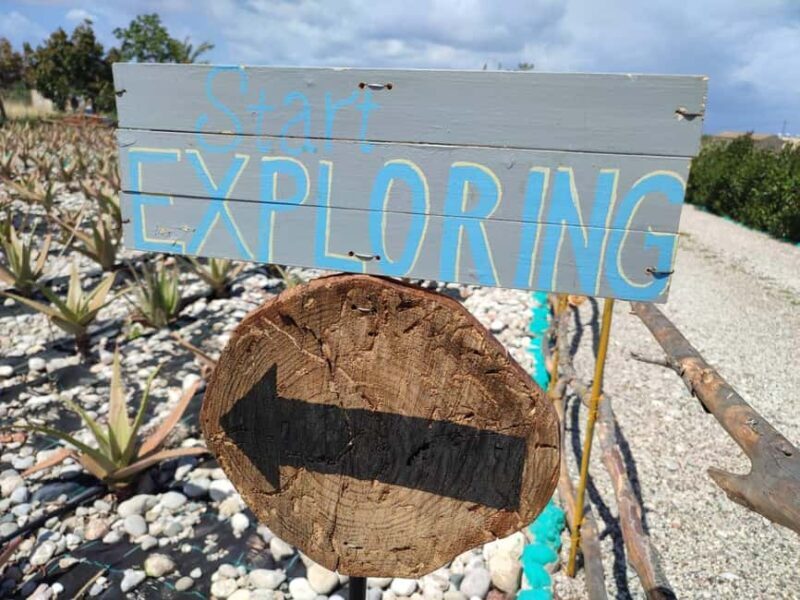 Rhodes:Explore the farm's paths & discover aloe vera & herbs - In-Depth Overview of the Farm Tour in Rhodes