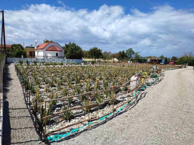 Rhodes:Explore the farm's paths & discover aloe vera & herbs - FAQ