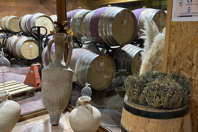 Rhône Valley Wine & Chocolate Tasting Private Day Tour from Lyon - Who Would Love This Tour?