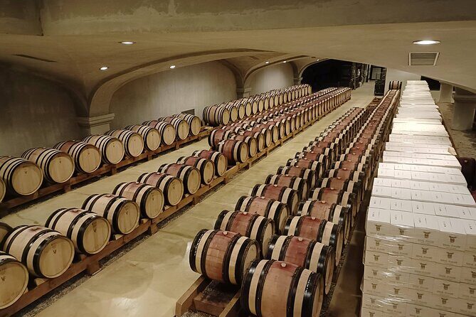 Rhône Valley Wine & Chocolate Tasting Private Day Tour from Lyon - The Sum Up: Is It Worth It?