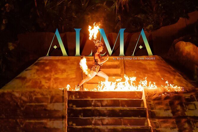 Rhythms of the night, sunset cruise, open bar & oceanfront dinner - An Honest Look at the Rhythms of the Night Experience