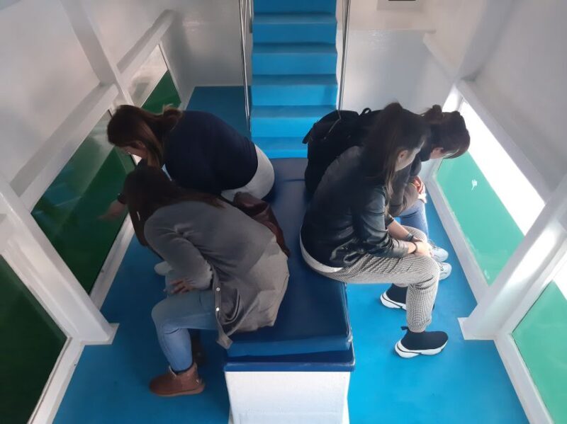 Ría de Arousa: Boat Ride to Mussel Farm with Tasting - Tasting Galicia’s Seafood and Wine