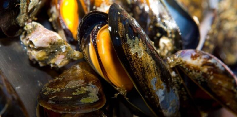 Ría de Arousa: Boat Ride to Mussel Farm with Tasting - Detailed Breakdown of the Experience
