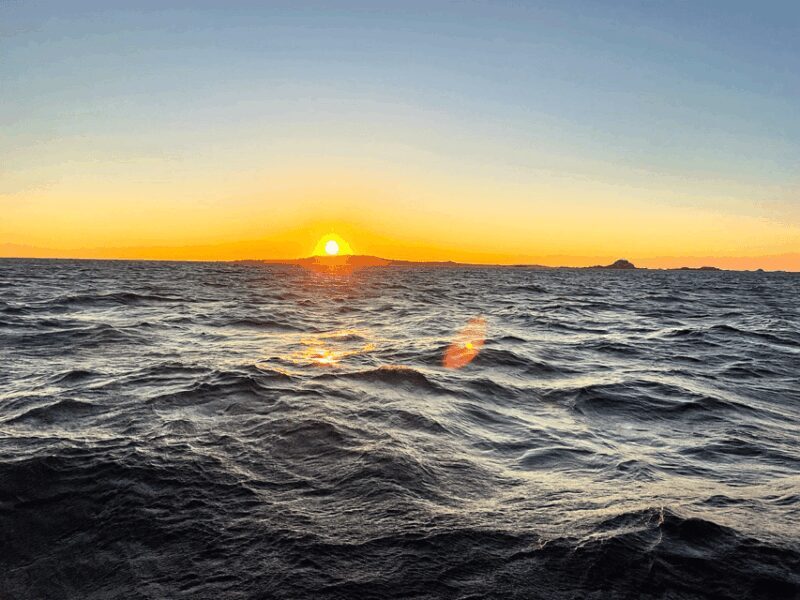 Ría de Arousa: Daytime or Sunset Sailboat Cruise with drinks - The Experience’s Atmosphere