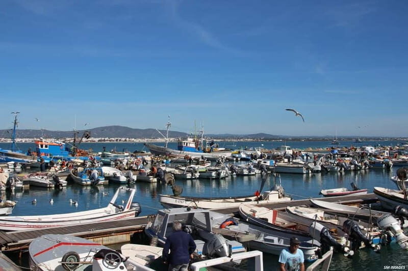 Ria Formosa 3 Islands Guided Day Trip by Boat - Olhão - FAQs