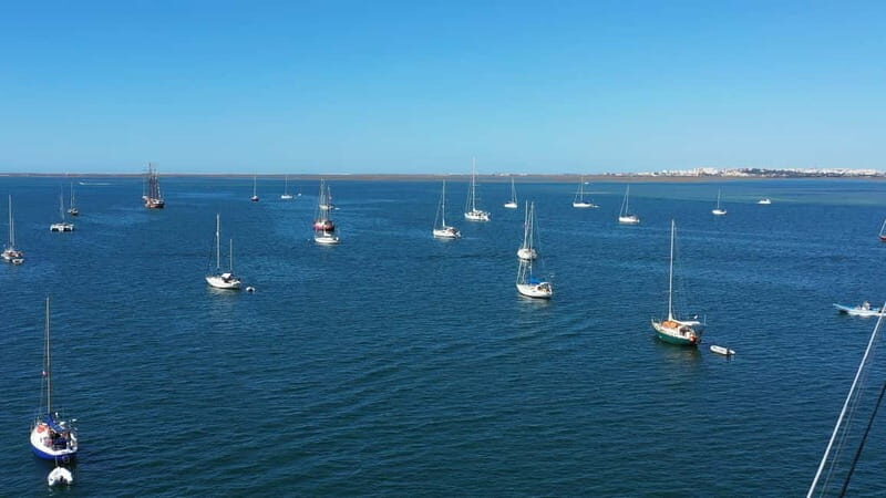 Ria Formosa: Armona and Culatra Islands 3-Hour Boat Tour - Key Points