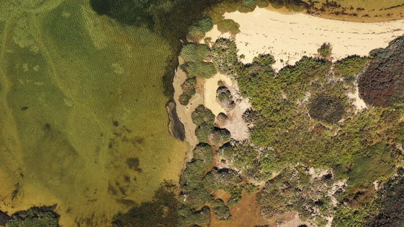 Ria Formosa: Armona and Culatra Islands 3-Hour Boat Tour - A Deep Dive into the Experience