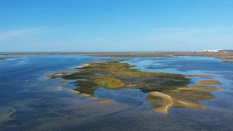 Ria Formosa: Armona and Culatra Islands 3-Hour Boat Tour - The Experience’s Strengths