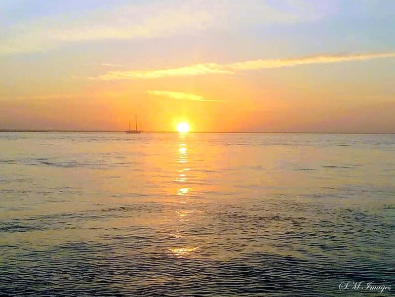 Ria Formosa Bout Tour with sunset - Olhão - Key Points