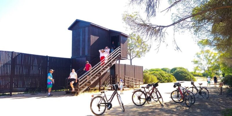 Ria Formosa: Guided Bike Tour (3h), Início na Quinta do Lago - The Experience on the Ground: What You’ll See and Feel