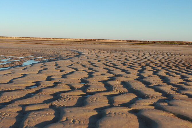 Ria Formosa & Islands : 2h00 Private Tour of Ria Formosa - The Sum Up: Is It Worth It?