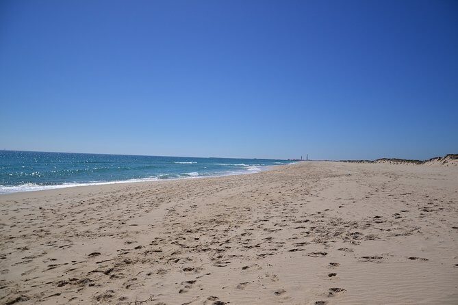 Ria Formosa & Islands : 2h00 Private Tour of Ria Formosa - FAQs