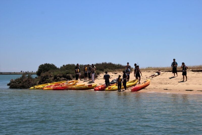 Ria Formosa National Park: Kayak Trip - Exploring the Details of the Tour