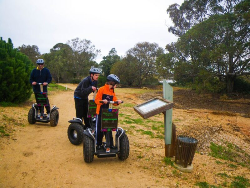 Ria Formosa National Park Segway Tour & Seafood Lunch - An In-Depth Look at the Tour Experience
