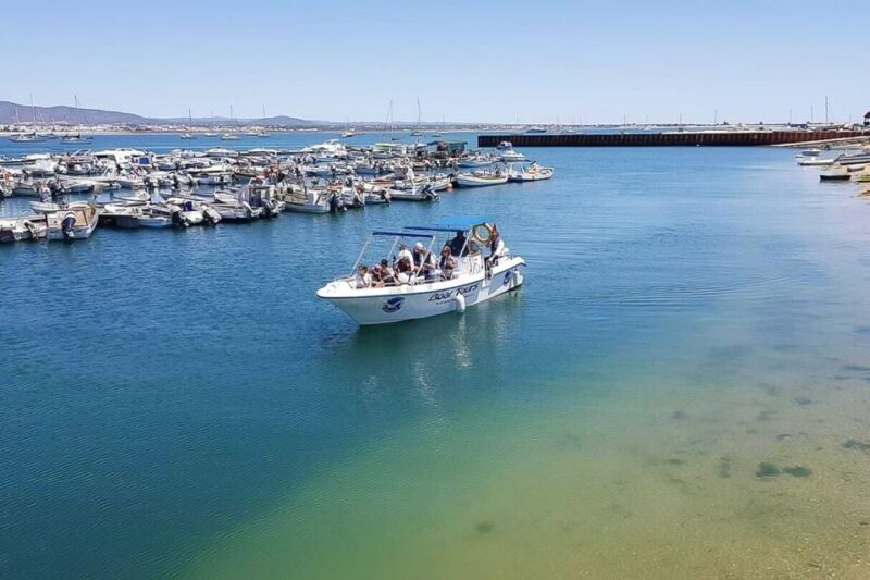 Ria Formosa: Sightseeing boat Tour from Olhão - Who Will Love This Tour?