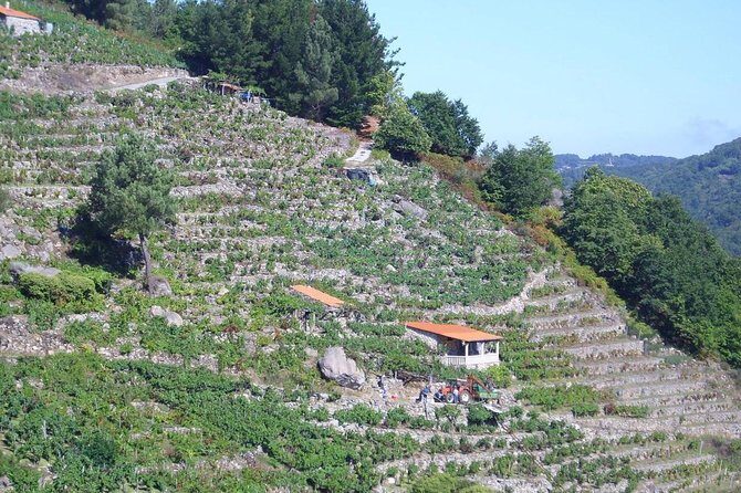 Ribeira Sacra From Lugo - What Does the Tour Cover Well, and What Might Be Missing?