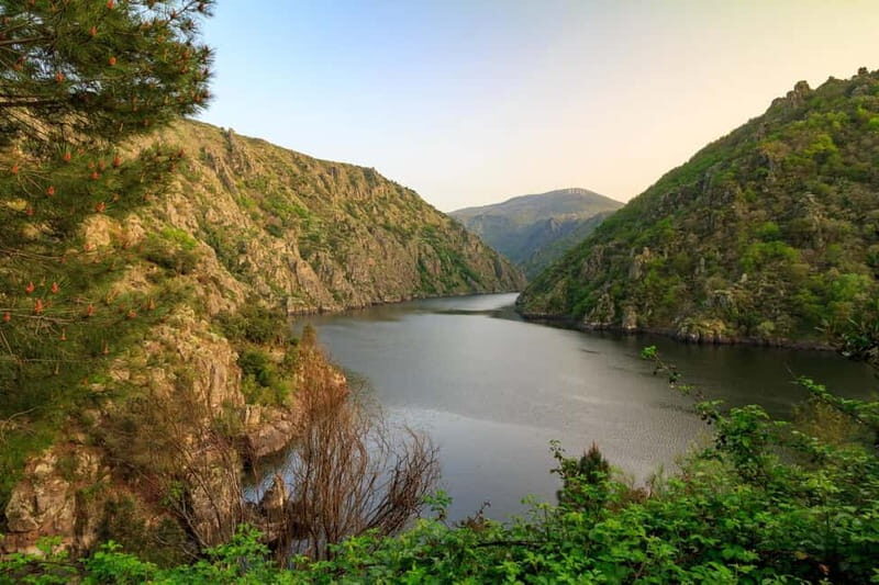 Ribeira Sacra & Ourense Day Tour with Catarmaran Cruise - Authentic Feedback from Travelers
