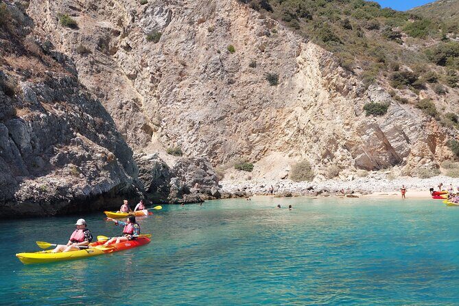 Ribeiro do Cavalo Beach Taxi Boat Transfer Round Trip - What Makes It a Great Choice?