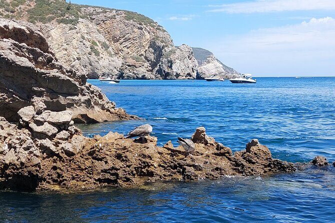 Ribeiro do Cavalo Beach Taxi Boat Transfer Round Trip - FAQ