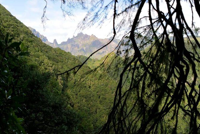 Ribeiro Frio - Portela - Considerations and Tips