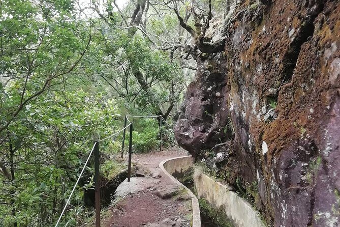 Ribeiro Frio - Portela - FAQs