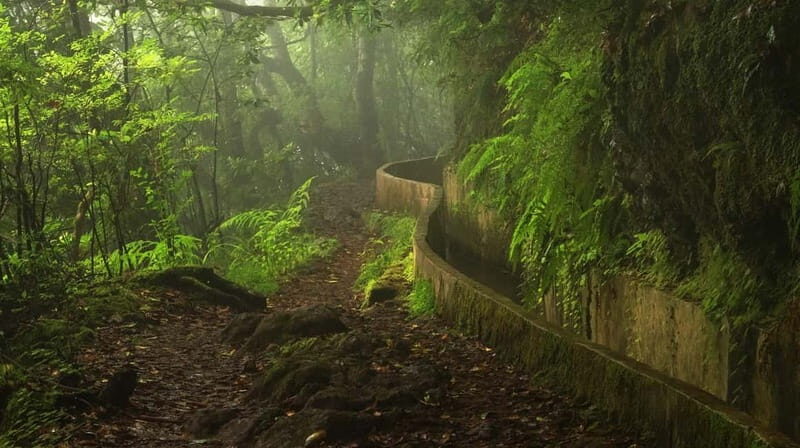 Ribeiro Frio / Portela Full day hike - Cost and Value