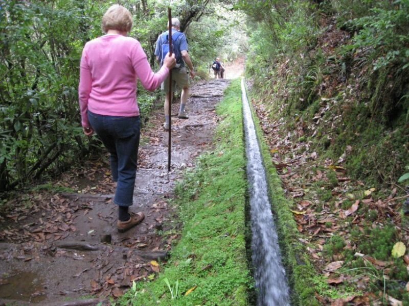 Ribeiro Frio / Portela - Levada Walk - An In-Depth Look at the Ribeiro Frio / Portela Levada Walk